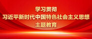 美女被插入小穴视频学习贯彻习近平新时代中国特色社会主义思想主题教育_fororder_ad-371X160(2)